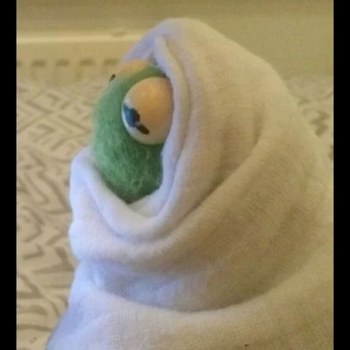 kermit, kermit, kermit blanket, komi frog, comet the frog