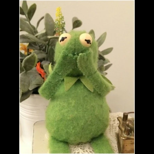 kermit, kemit, grenouille de komi, kermit la grenouille, froggy komi esthétique