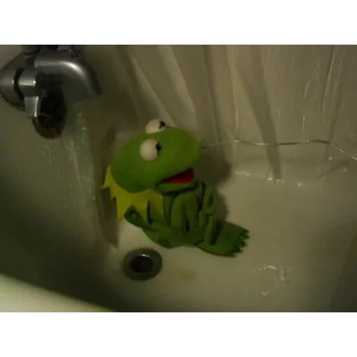 kermit, kermit, komi frog, comet the frog, frog comey bathtub