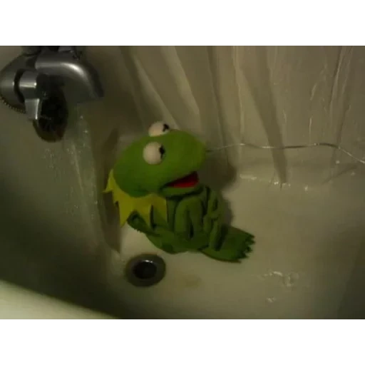 kermit, kermite, kermite frog, frog cermit, la rana kermite il bagno