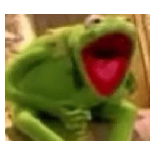 kemet, kinder, kemet meme, kermit der frosch, kermit der frosch lacht