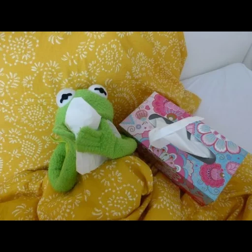 kermit, komi frog, comet the frog, plush toy frog, frog plush toy