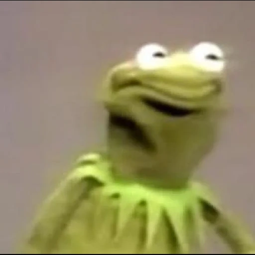 kermit, kemet, die muppet show, kermit der frosch, kermit der frosch lacht