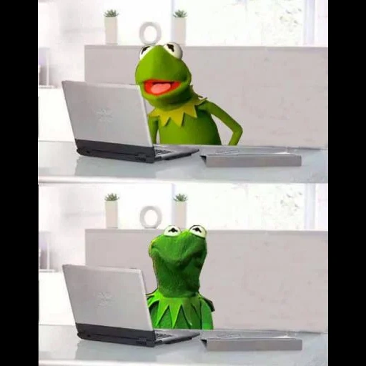 kermit, kermit meme, kermit der frosch, kermit der frosch, another day without meme