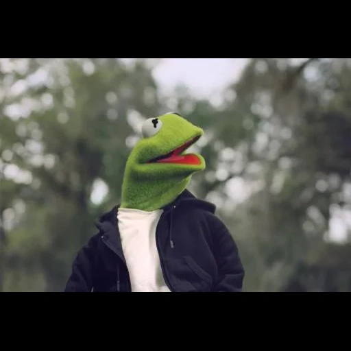 telecamera, kermit, antico, adidas cermit, frog cermit