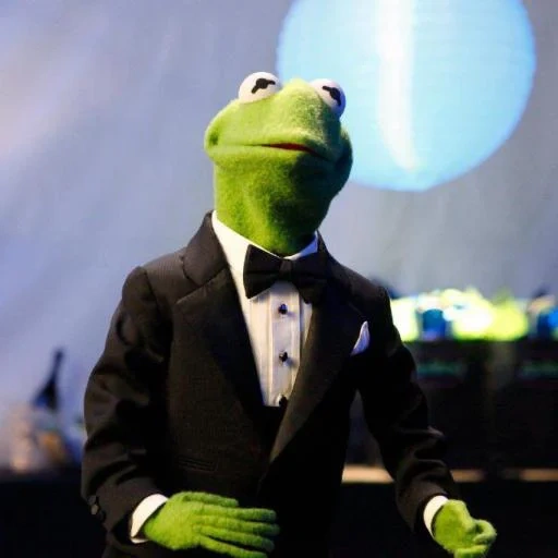 kermit, kermit, applicant, muppet show, comet the frog