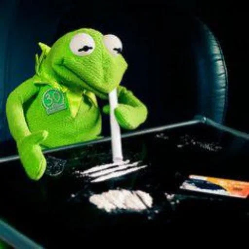 kermit, kermit, muppet show, comet the frog, frog comet cocaine