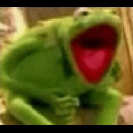 kermit der frosch, kermit der frosch, kermit meme der frosch, kermit der frosch wartet, kermit der frosch lacht