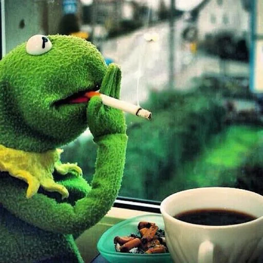 kermit, funny frog, kermit meme, comet coffee, comet the frog