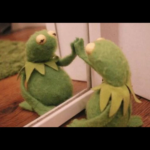 kermit, kermit, komi frog, comet the frog, comet the frog by the mirror