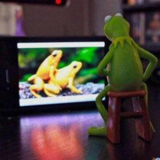 kermit, meme de rana, rana cermit, rana cermit