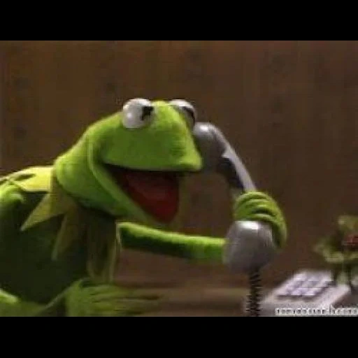 kermit, muppet show, komi frog, comet the frog