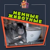 memnie_zhivotnie