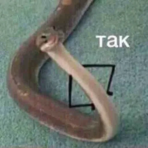serpente, il meme del serpente, serpente con le mani, serpenti con le mani, serpenti con manici