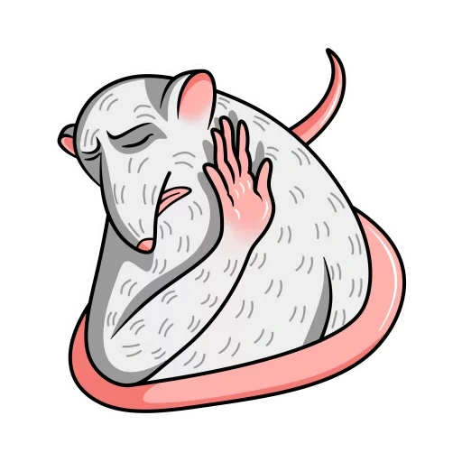 rata, mema, ilustración de rata