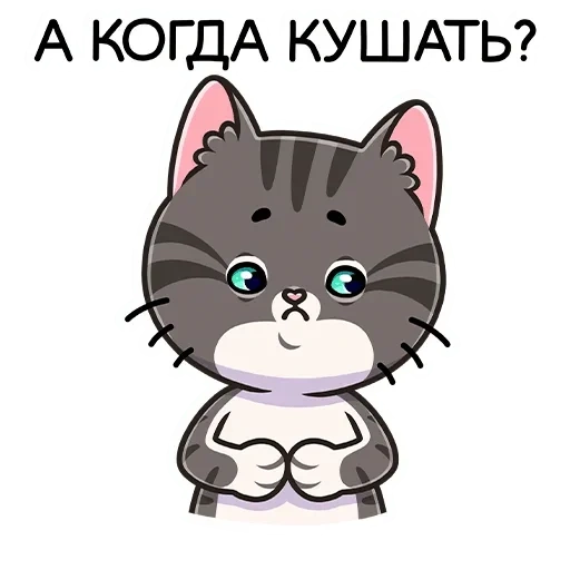 кошка, муркс, meow кошки