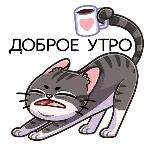 кот, коты, муркс, доброе утро, кот доброе утро