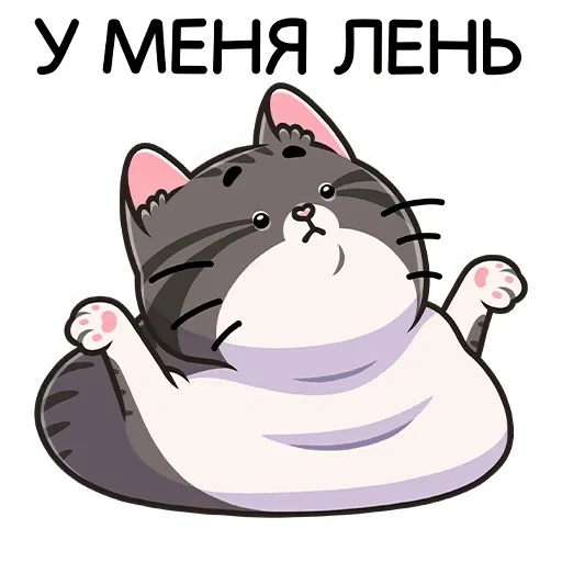 кошка, муркс, ami fat cat, толстый кот