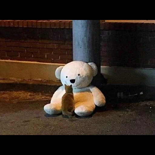 медвежонок, мишка игрушка, грустный мишка, плюшевый медведь, плюшевый медвежонок