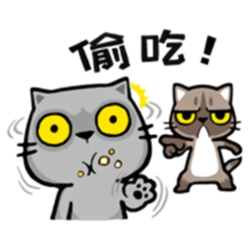 стикеры meow zhua zhua, стикер meow, котики стикеры, кот стикер, cat
