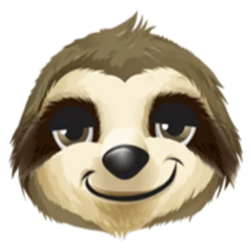 boys, a sloth, sloth incarnation, bear sloth, sloth smiling face