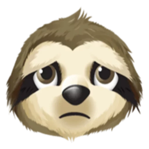 a sloth, frie sloth, bear sloth, sloth smiling face, dog animal