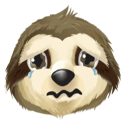 a sloth, dog face, background animal, dog head, serious sloth twitch