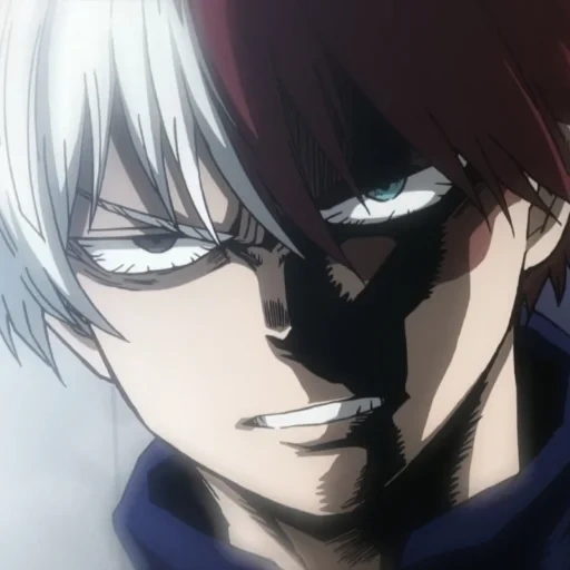 twitter, todoroki, videira na árvore anfitriã, personagem de anime, todoromu o meu colégio de heróis