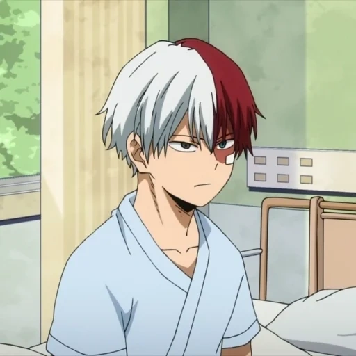 todoroki, king arthur, todoroki software company, rattan on the host tree, shoto todoroki