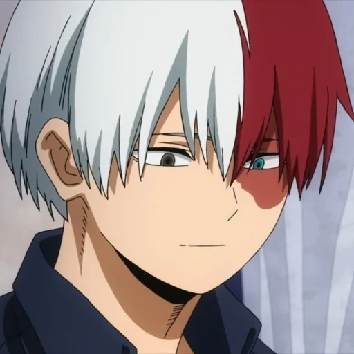 todoroki, vigne de l'arbre hôte, shoto todoroki, personnages d'anime, anime de toshimomo kaito