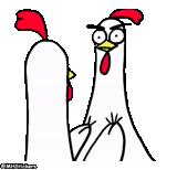 chicken, the chicken brothers, chicken meme, cock cock, funny chicken