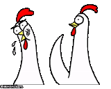 immagine, chiken bro, meme di pollo, il gallo è divertente, pollo divertente