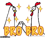 text, chicken, the chicken brothers, a funny rooster, funny chicken