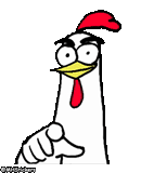 the chicken brothers, a funny joke, a funny rooster, funny chicken, animals are ridiculous