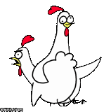 pollo, pollo, chiken hermano, dibujo de kurita, el pollo se sorprende