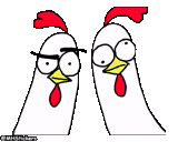 курица, чикен бро, курица мем, смешная курица, удивленная курицы анимация