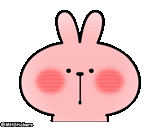 rabbit, cute rabbit, rabbit pattern, metamorphic rabbit, lovely rabbit pattern