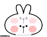 lapin, lapin commun, spoiled rabbit, motif de lapin, patterns de lapin mignon