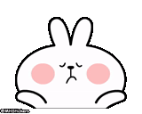 rabbit, general rabbit, cute rabbits, lovely rabbit pattern