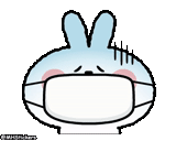 rabbit, rabbit rabbit, rabbit pattern, rabbit face, cute rabbit pattern