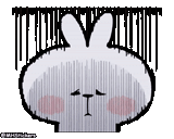rabbit, general rabbit, cute rabbits, rabbit pattern, lovely rabbit pattern