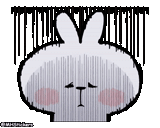 lapin, lapin commun, le lapin est mignon, motif de lapin, patterns de lapin mignon