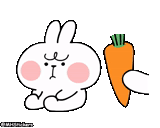 conejito, conejo, amor de los conejos, boceto, lindos conejos