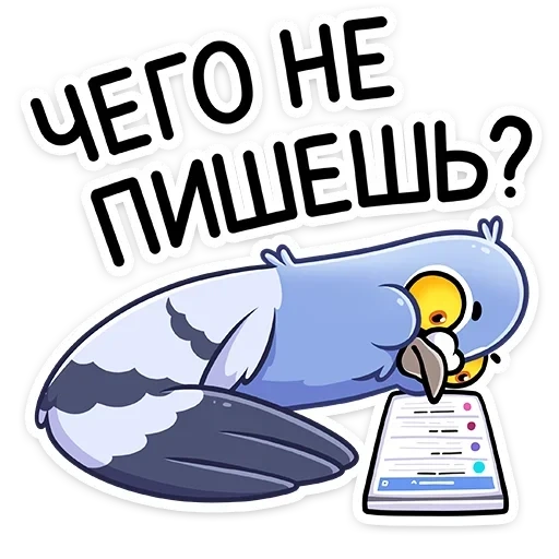 набор стикеров голубь михаил, стикер голубь, стикеры для телеграм, стикеры для ватсап голубь, голубь михаил стикеры вк