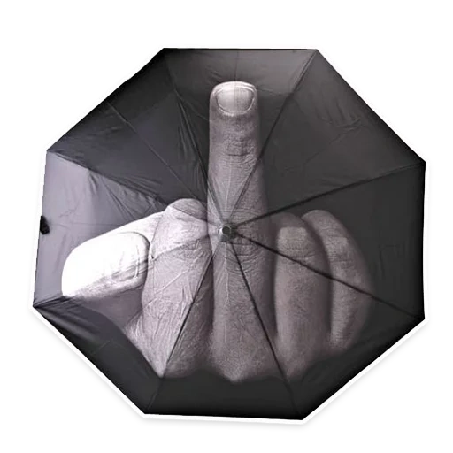 зонт фак дождю, зонт с факом, зонт мужской, зонт от дождя, зонт мужской автомат
