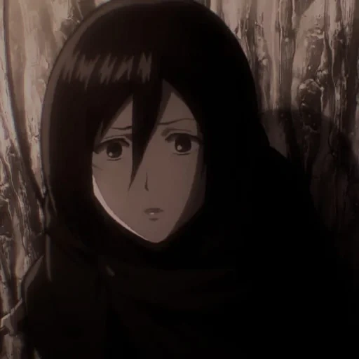 mikasa, imagen, mikasa akkerman, mikasa ataque de los titanes, el ojo de mikasa akkerman