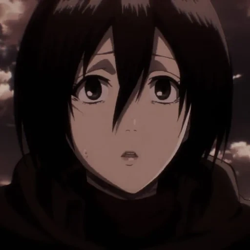 micasa, attaque de mikasa, mama mikasa akkerman, les trois dieux attaquent les titans, titan attack saison 2 mikas