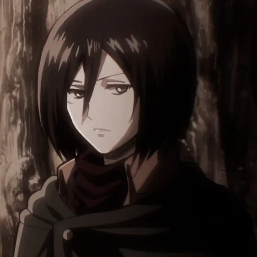 mikasa, mikasa, akkerman mikas, ataque de los titanes de mikas, mikasa akkerman kadra