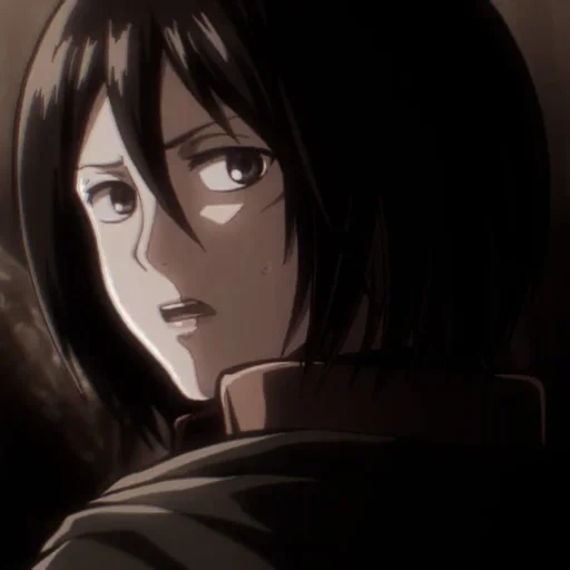 mikasa, mikasi titânio, ataque mikasa, mikasa ackerman, três deuses atacam titã