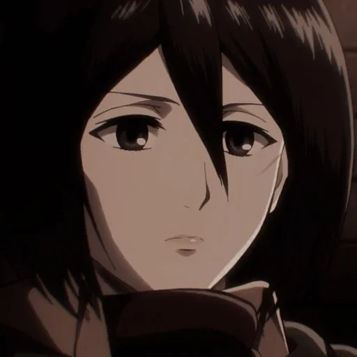 mikasa, mikasa, ackerman mikasa, mikasa ackerman, sankang ackerman ataca o titã